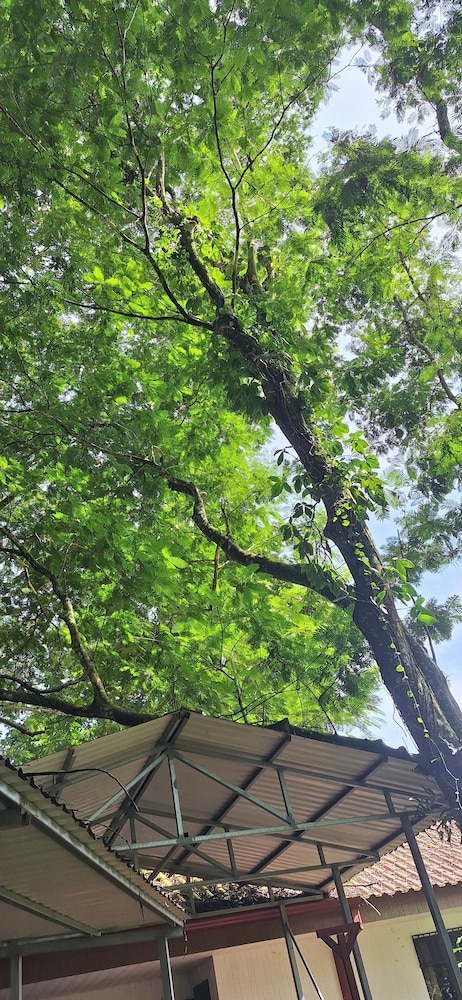 Hotel Sarapiquí in La Virgen, Costa Rica