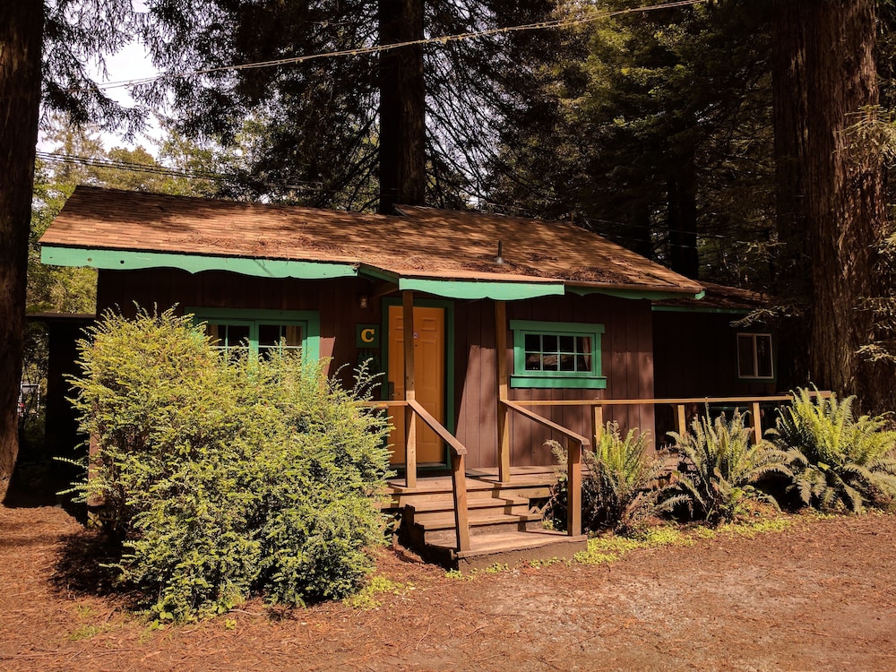 Emerald Forest Cabins - photo 157