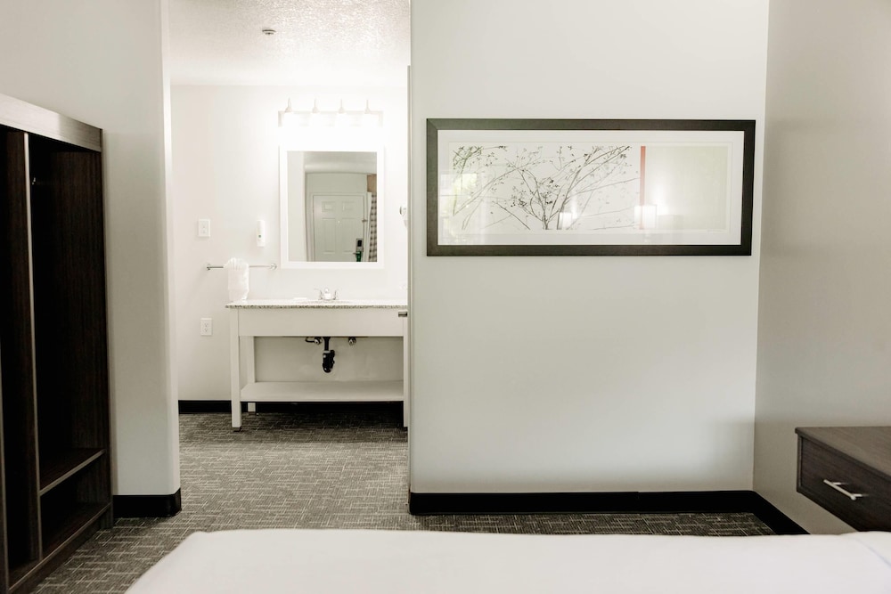 Quality Inn & Suites Lathrop South Stockton - photo 9