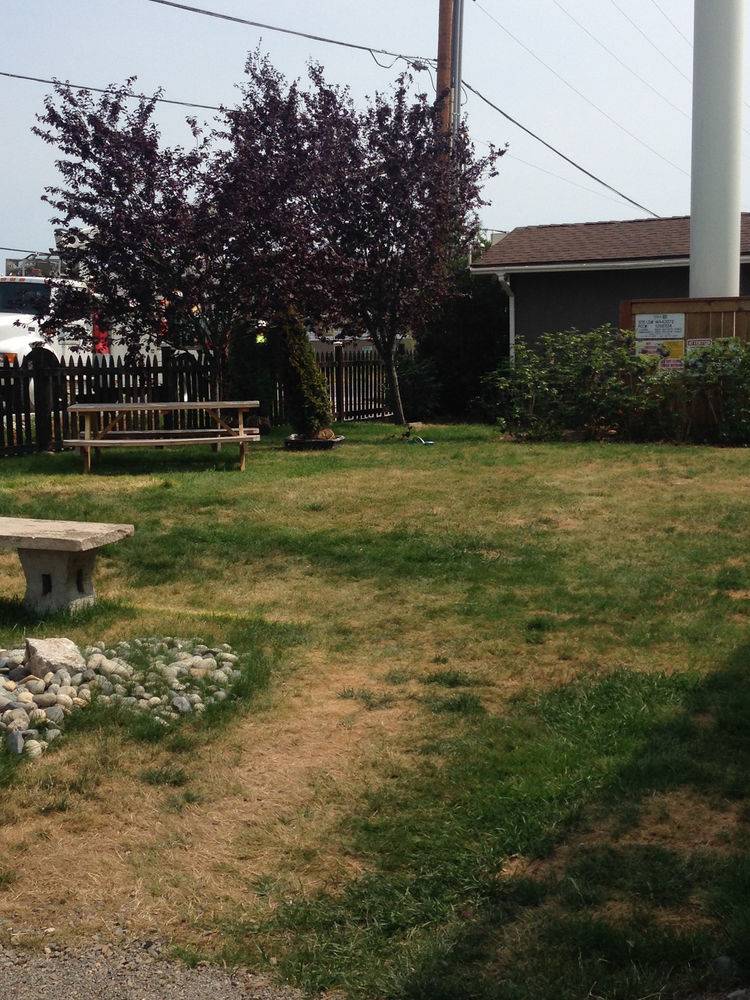 Orca Inn - photo 12
