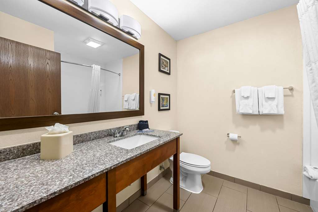 Comfort Inn & Suites Pueblo - photo 16