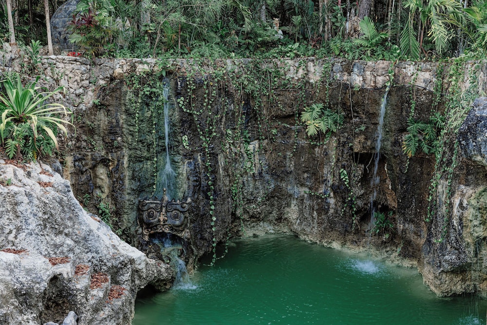 Natural pool