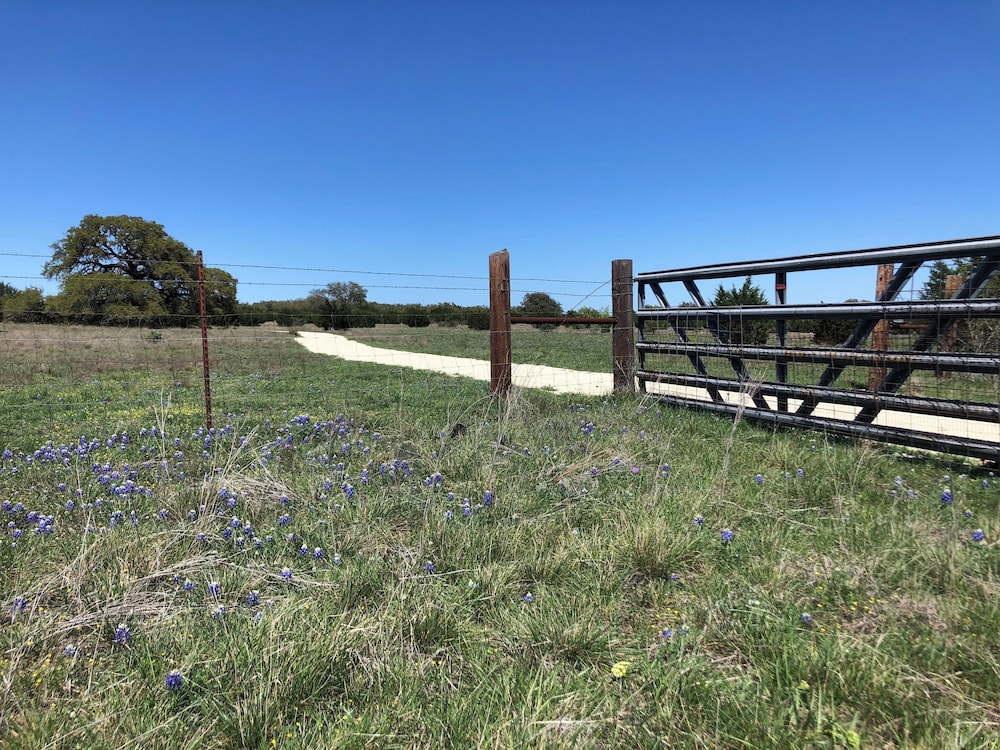 The Alexander at Creek Road - photo 241