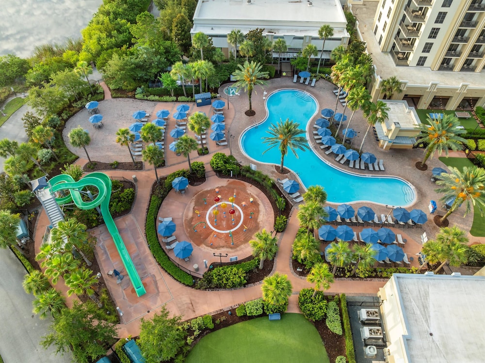 Hilton Grand Vacations Club Las Palmeras Orlando - photo 30