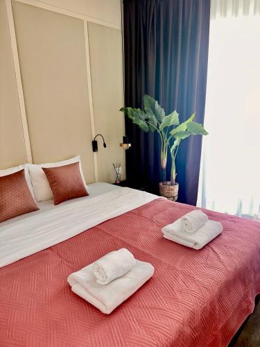 Palacio Del Mar Hotel — Budva — photo 5