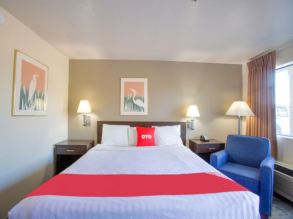 OYO Woodland Hotel and Suites - photo 10