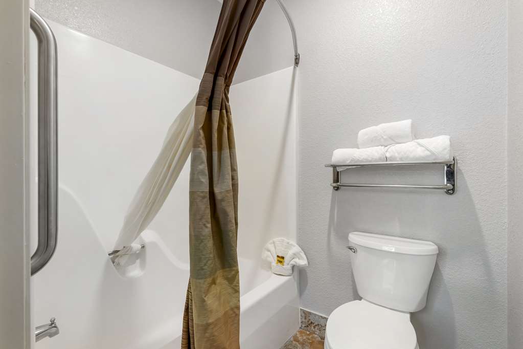 Best Western Plus Des Moines West Inn & Suites - photo 21