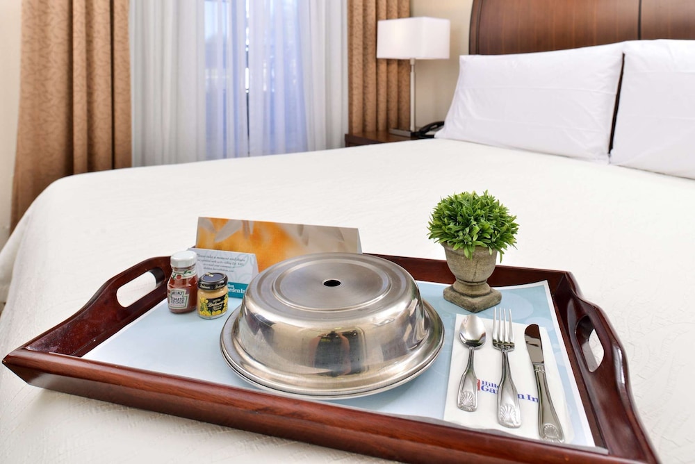 Hilton Garden Inn Dallas Addison - photo 14