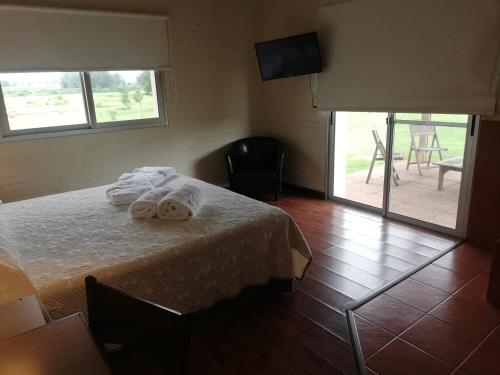 Hotel Juana de Ibarbourou — Melo — photo 5