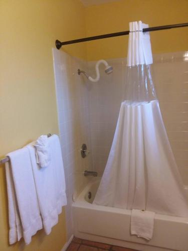 My Place Suites - photo 42