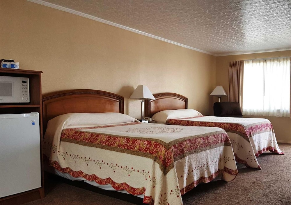 Bristlecone Motel - photo 19