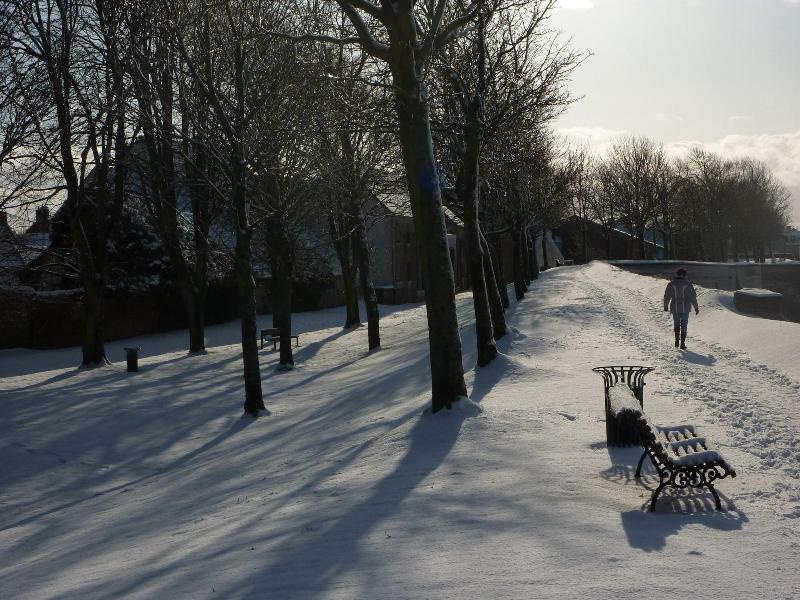 Coq Hôtel in Montreuil, France