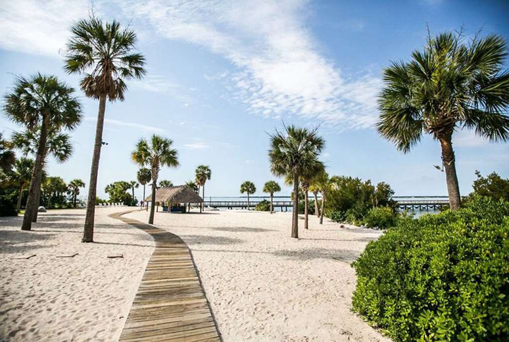 Harborside at Charleston Harbor Resort and Marina - photo 17