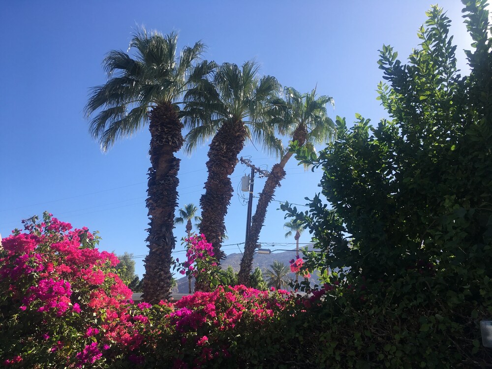 Inn at Palm Springs - photo 32