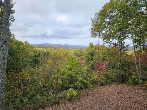 Amber Sunsets in Jasper, United States