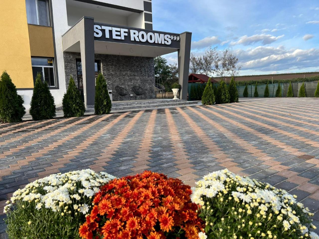 Stef Rooms — hotel in Targu Frumos