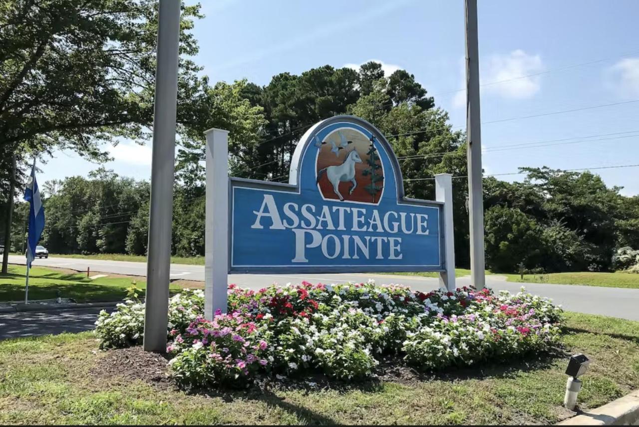 Assateague Point Paradise — Berlin — photo 2