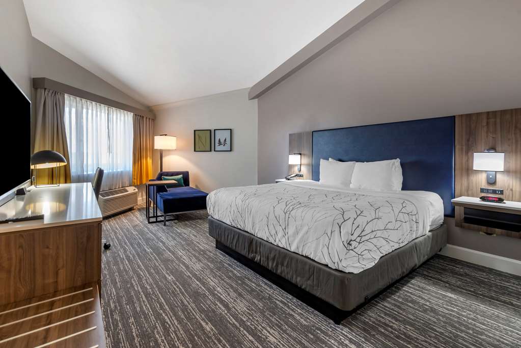 Best Western Premier Denver East - photo 25