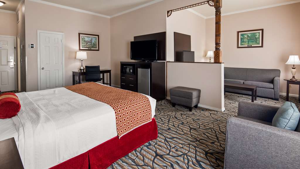 Best Western Spring Hill Inn & Suites - photo 18