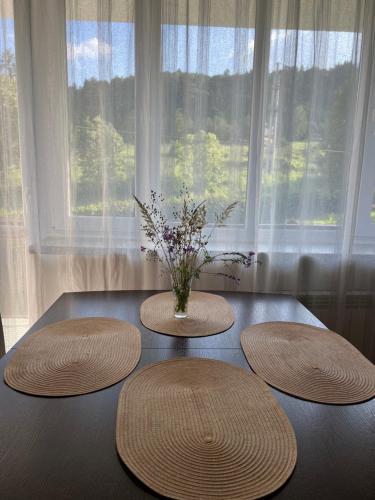 Apartament pod Honem — Cisna — photo 2