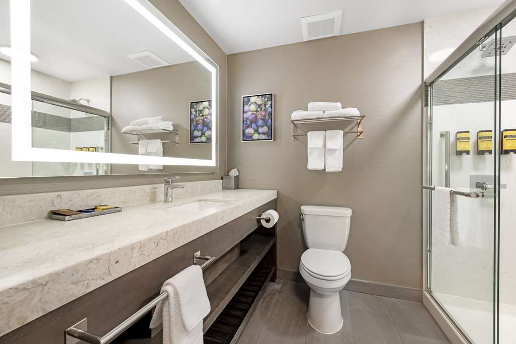Best Western Plus Temecula Wine Country Hotel &Suites - photo 30
