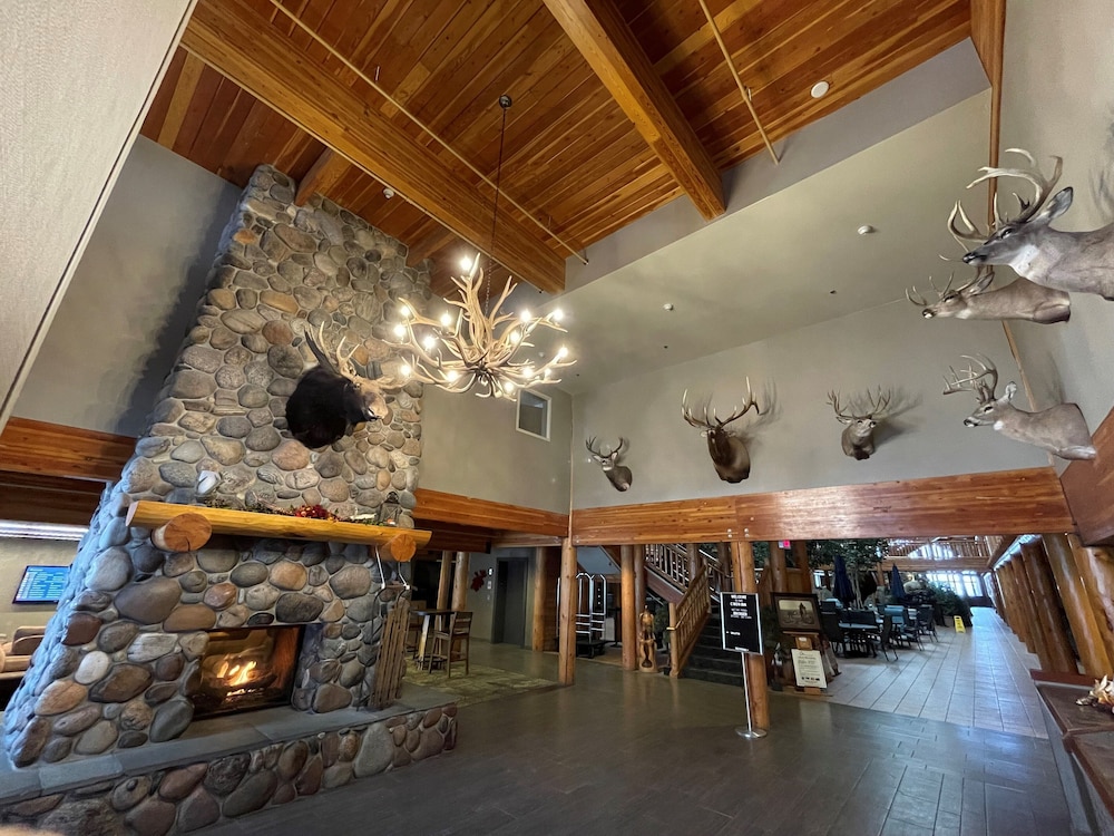 C'mon Inn Bozeman - photo 2