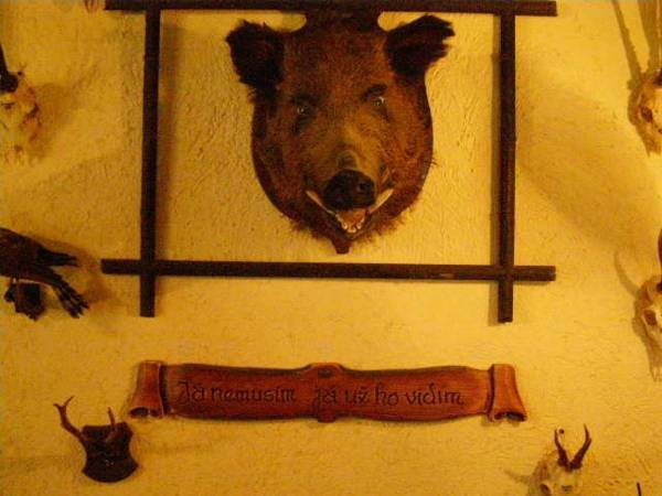 Penzion u Hajneho Bedricha in Harrachov, Czech Republic