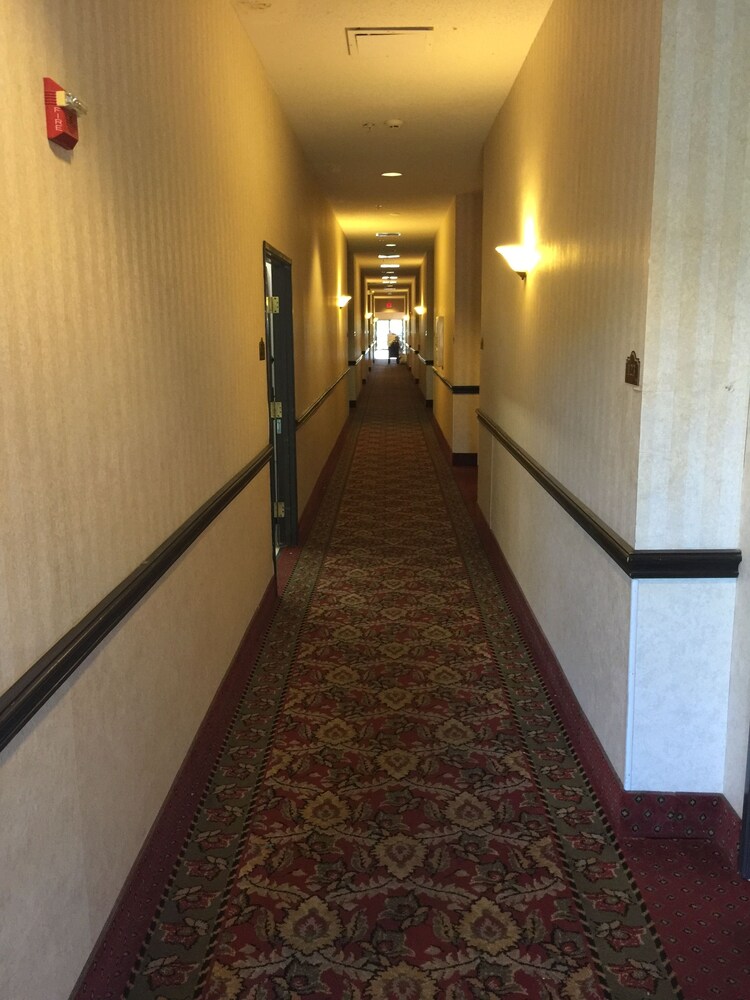 Texas Hill Country Hotel By Holiday Creek - photo 28