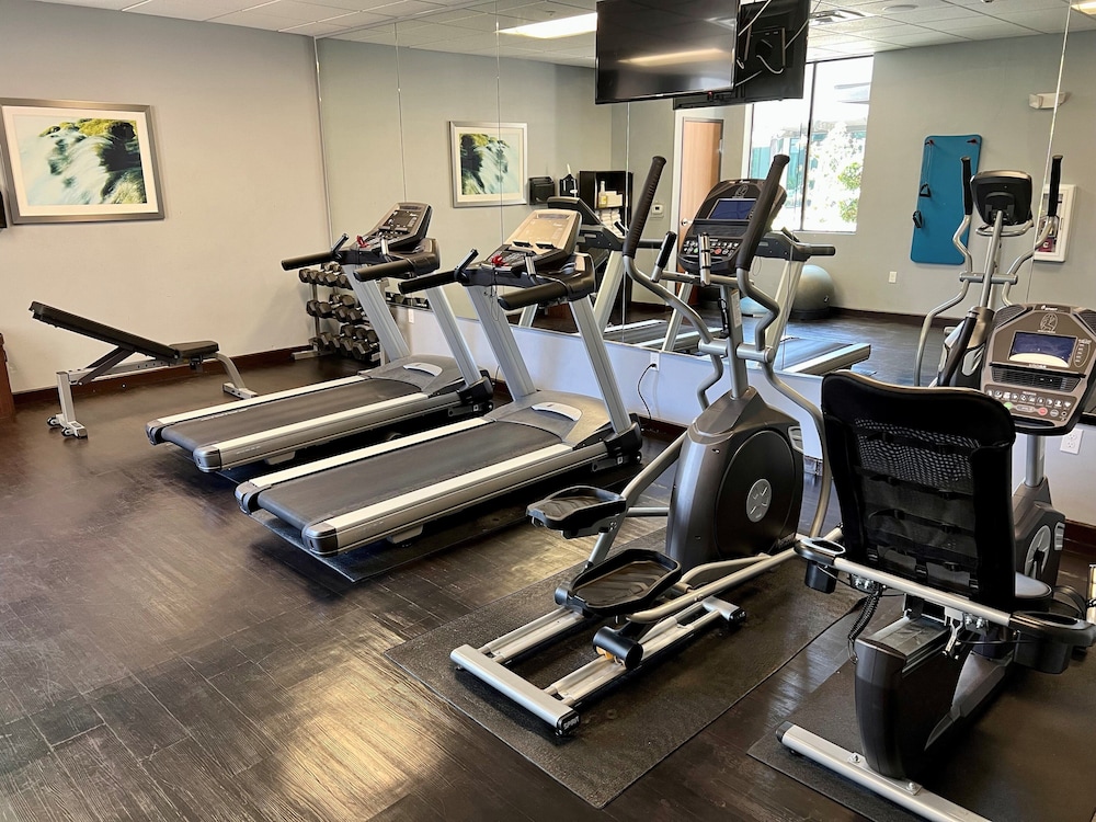 Holiday Inn Carlsbad by IHG - photo 32