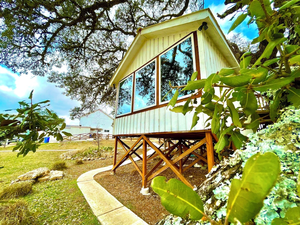 The Alexander at Creek Road - photo 286