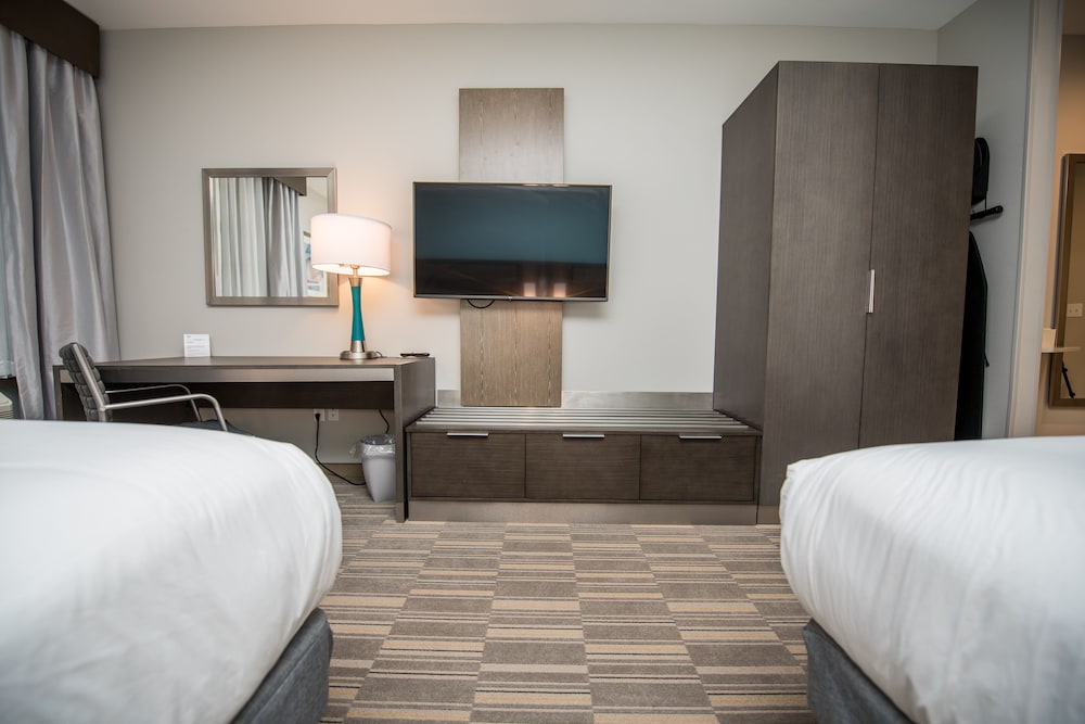 Holiday Inn Express & Suites Lake Charles South Casino Area by IHG - photo 46