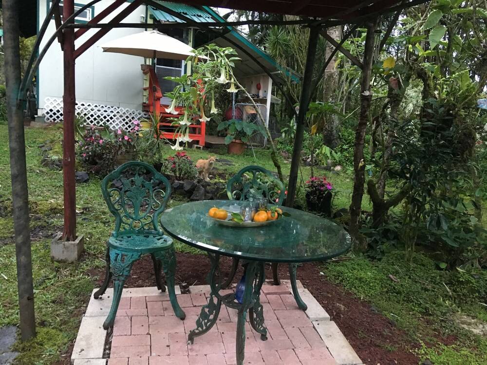Enchanted Gardens - photo 29