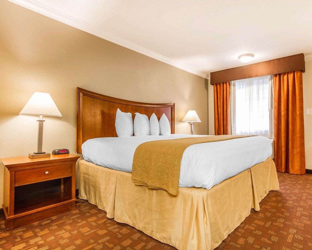 Quality Inn Sacramento Convention Center - photo 13