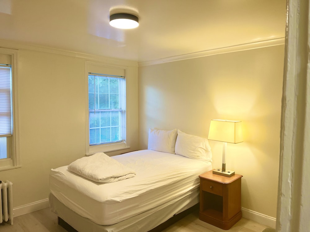 Skylight - photo 4