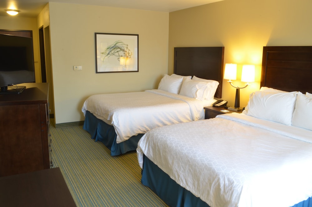 Holiday Inn Express Waterloo Cedar Falls by IHG - photo 7