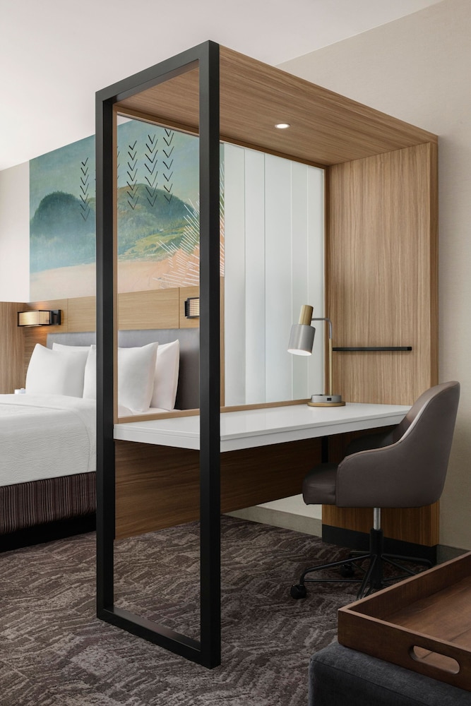 SpringHill Suites by Marriott Chula Vista Eastlake - photo 7