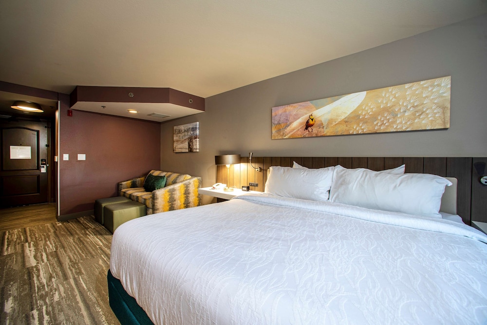 Hilton Garden Inn Rapid City - photo 37