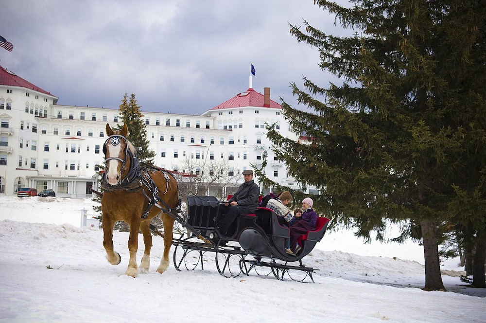 Omni Mount Washington Resort & Spa - photo 94