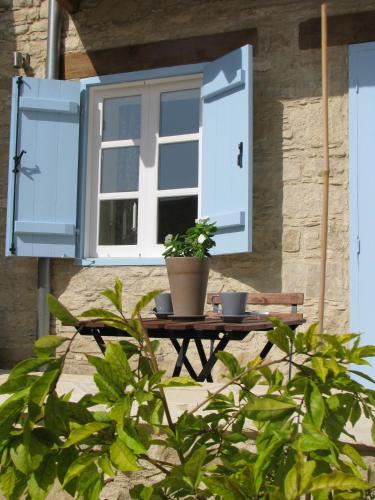 Dolphin Guest House and Studios