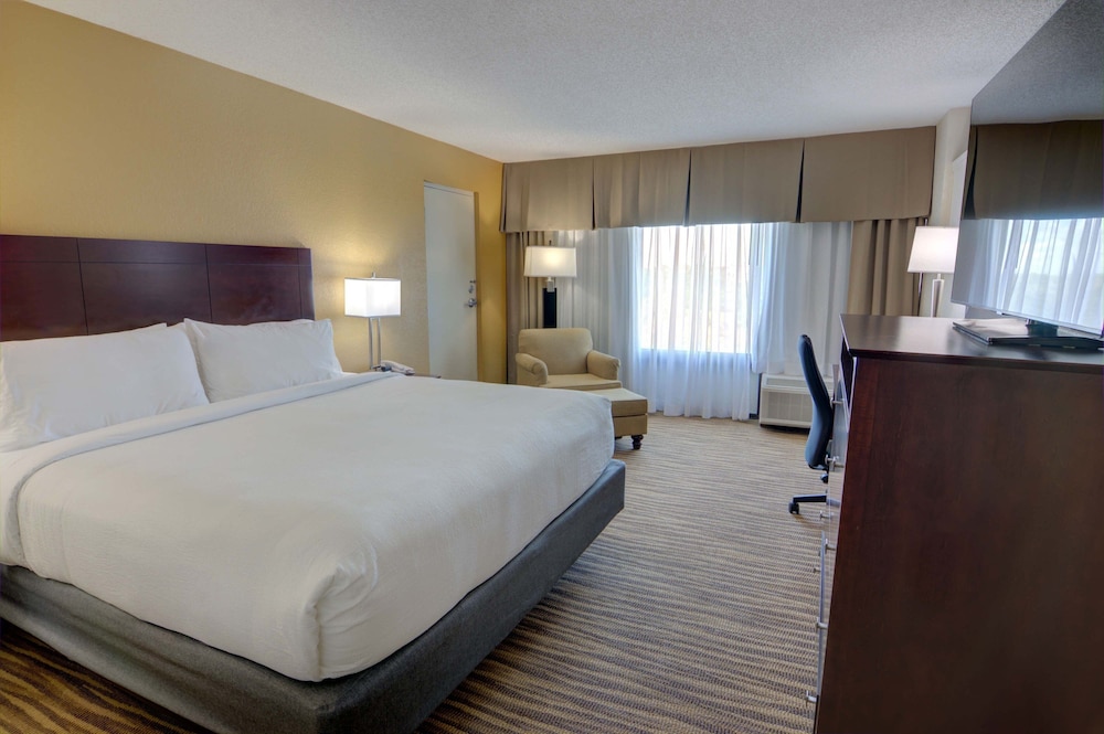 Holiday Inn St Petersburg N Clearwater by IHG - photo 21