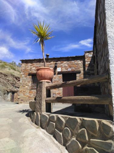 Encina de Lorenzo 1 pet-friendly hotel Abrucena