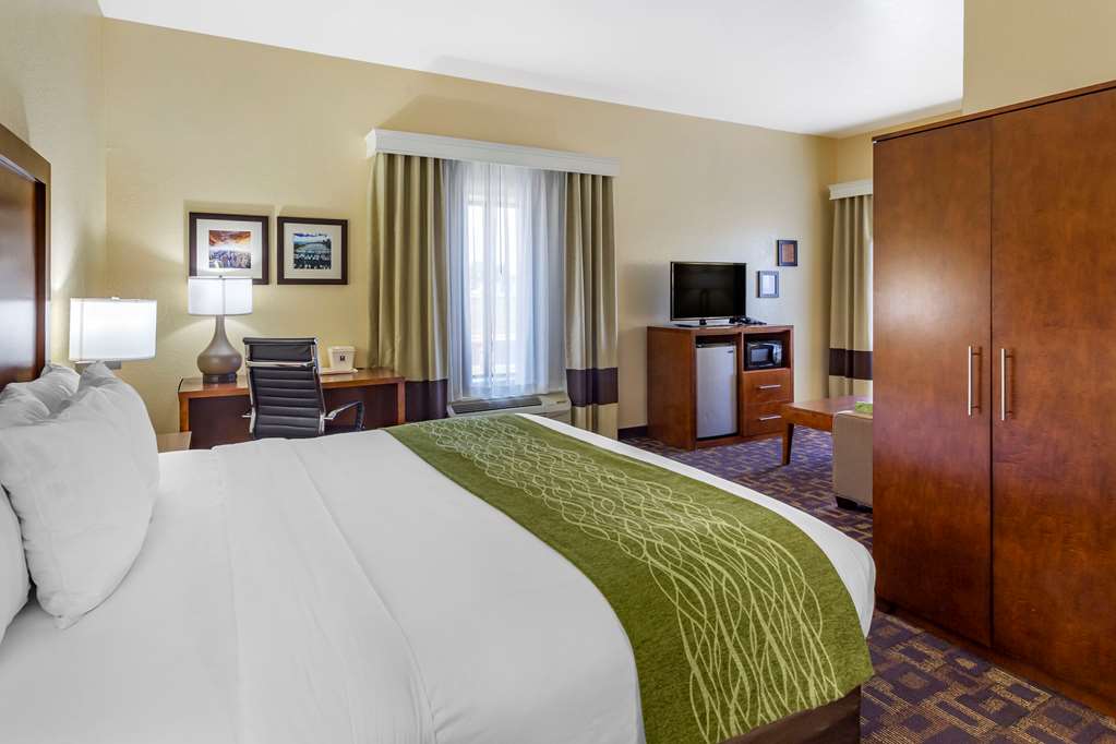 Comfort Inn & Suites North Aurora Naperville - photo 20