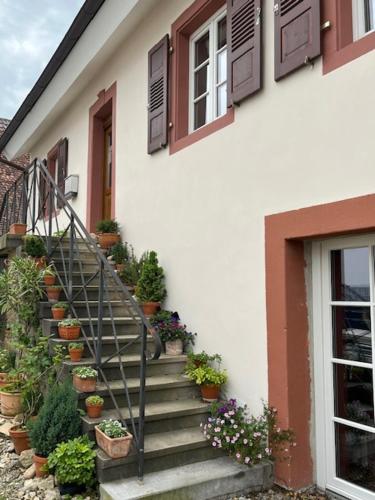 Kulturvogtei Freiburg Tiengen in Freiburg, Germany