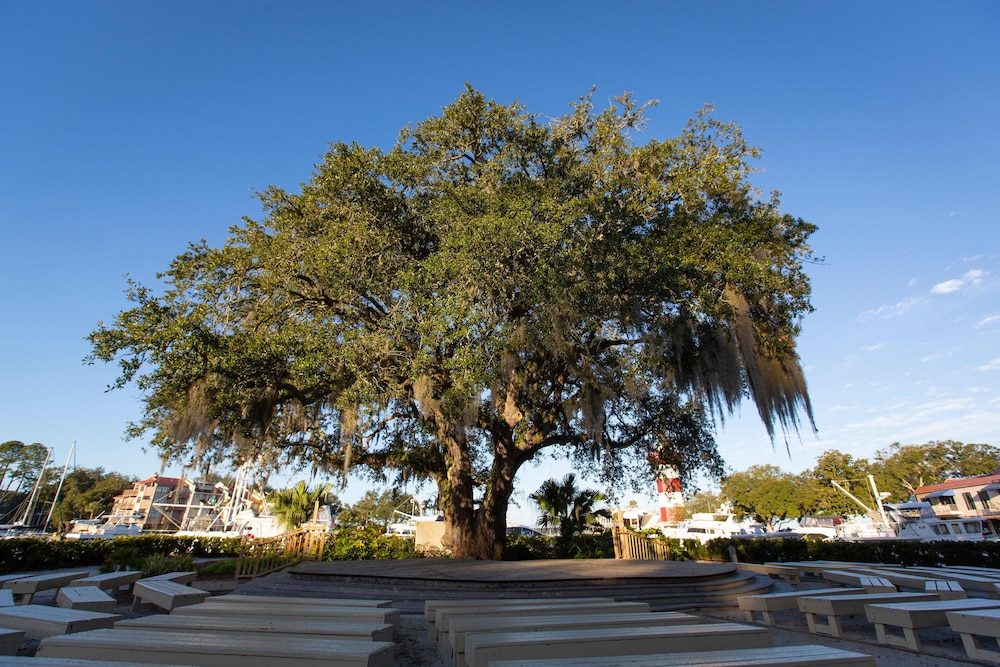 2342 Racquet Club at the Sea Pines Resort - photo 25