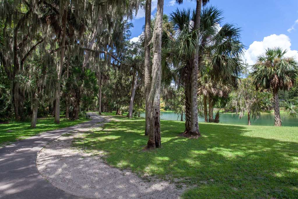 Travelodge by Wyndham Deltona - photo 36