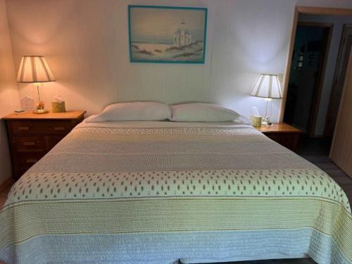 Brandy Bay Hideaway: Pet Friendly Retreat - photo 14