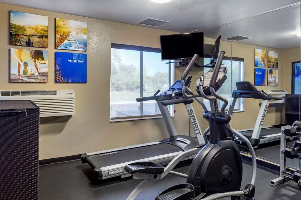 Comfort Inn & Suites North Aurora Naperville - photo 24