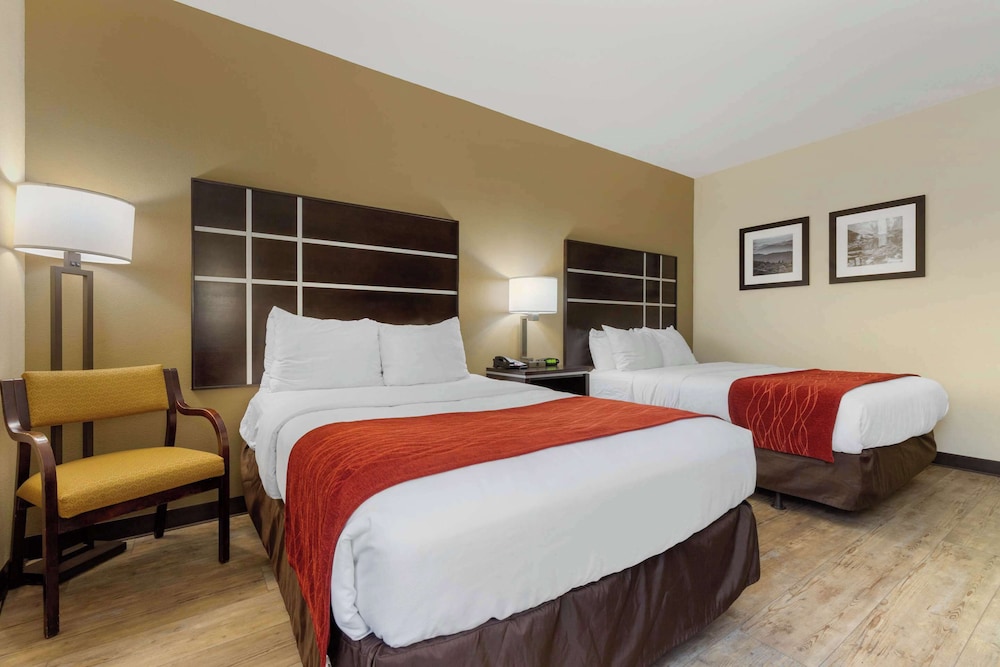 Comfort Inn North of Asheville - photo 31