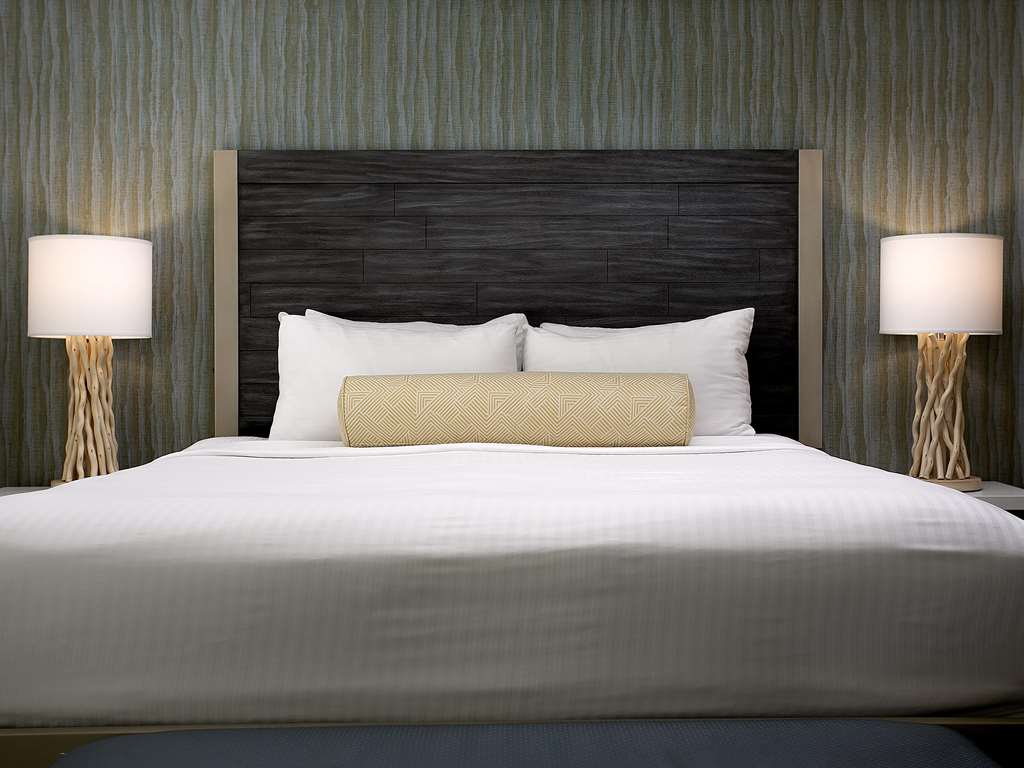 Inn at the Cove - photo 16