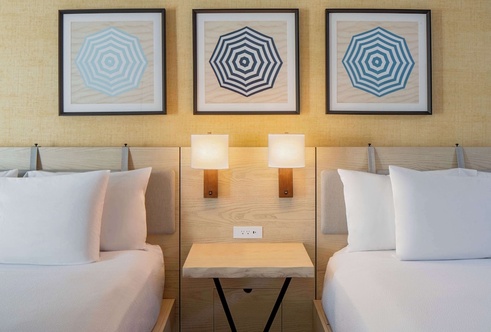 Hilton Garden Inn Dana Point Doheny Beach - photo 9